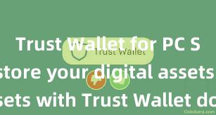 Trust Wallet for PC Securely store your digital assets with Trust Wallet download